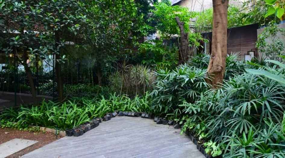 Salsette-27-Amenities-Landscaped-Garden
